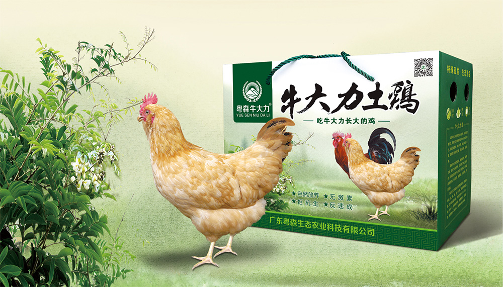 粵（yuè）森牛大力土雞