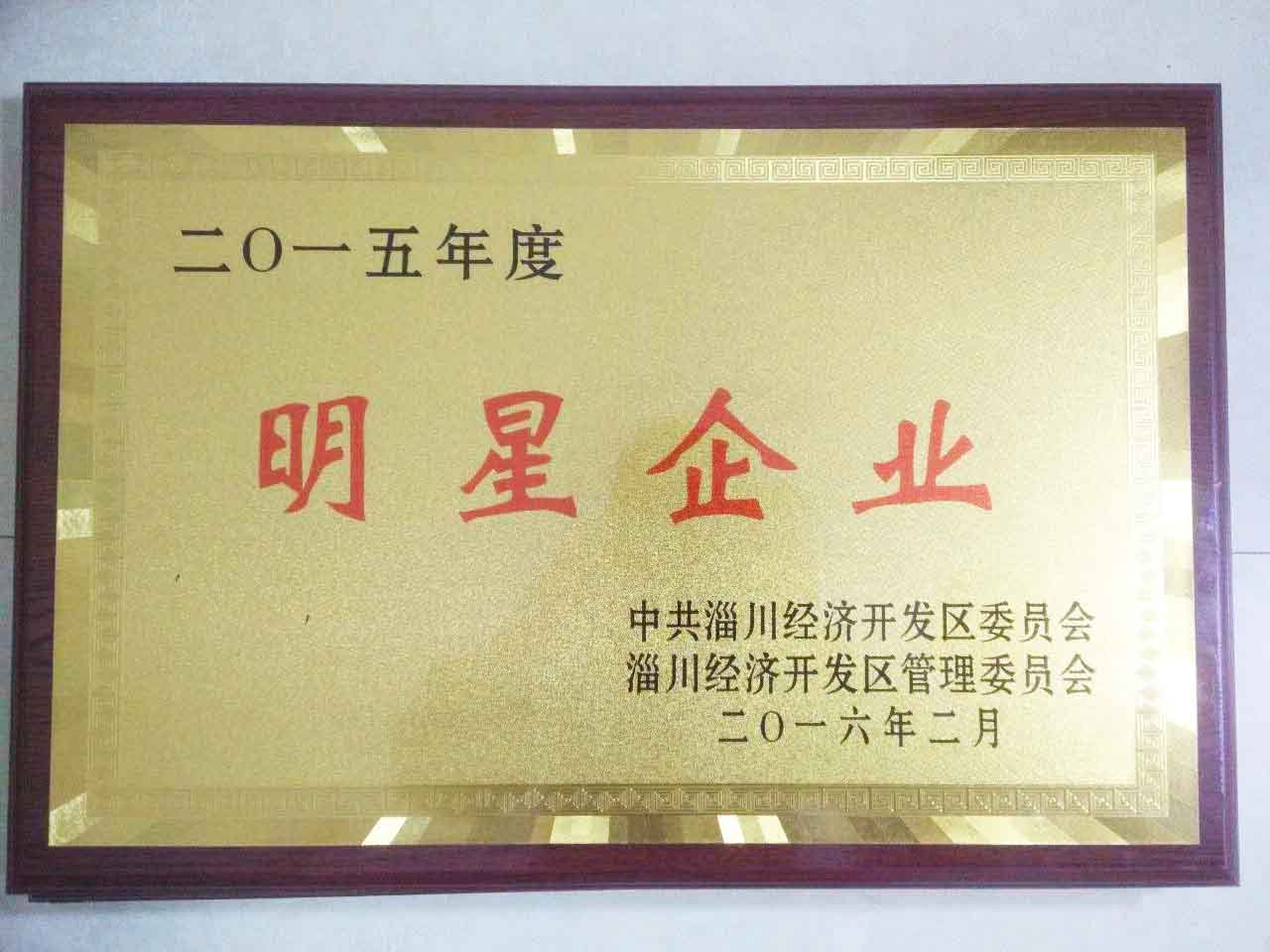 2015年度開發區明（míng）星企業